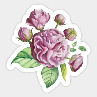 Camellia Rose Garden Flowers Sticker